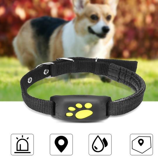 Pet GPS Tracker Collar