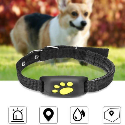 Pet GPS Tracker Collar