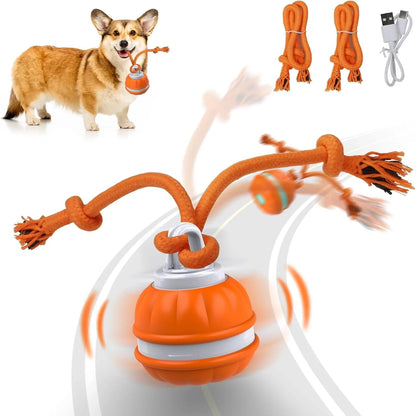 Interactive Rolling Dog Ball – Chase, Fetch & Chew Toy