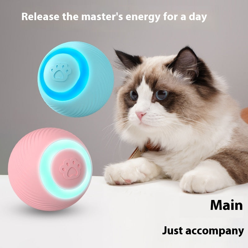 Interactive Rolling Ball Pet Toy – Chase & Play Fun for Cats & Dogs