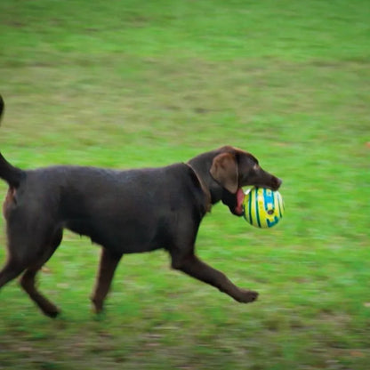 The Wobble Wag Giggle Ball