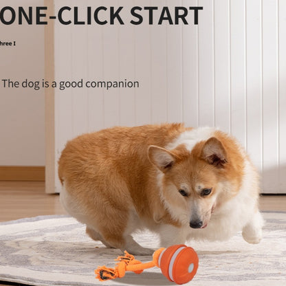 Interactive Rolling Dog Ball – Chase, Fetch & Chew Toy