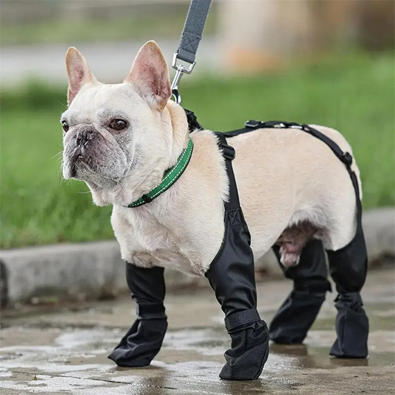 Waterproof Breathable Dog Boots – Adjustable Soft Paw Protector Shoes for Outdoor Walking