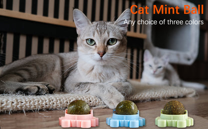 Catnip Wall Ball – Edible Licking &amp; Chew Toy for Happy, Healthy Indoor Cats
