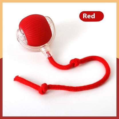 Interactive Rolling Cat Toy Ball – High‑Energy Chase & Play
