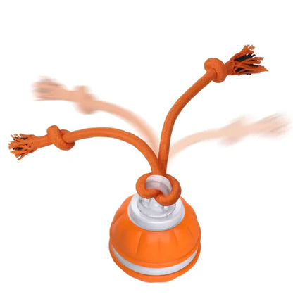 Interactive Rolling Dog Ball – Chase, Fetch & Chew Toy