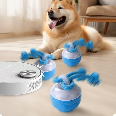 Interactive Rolling Dog Ball – Chase, Fetch & Chew Toy