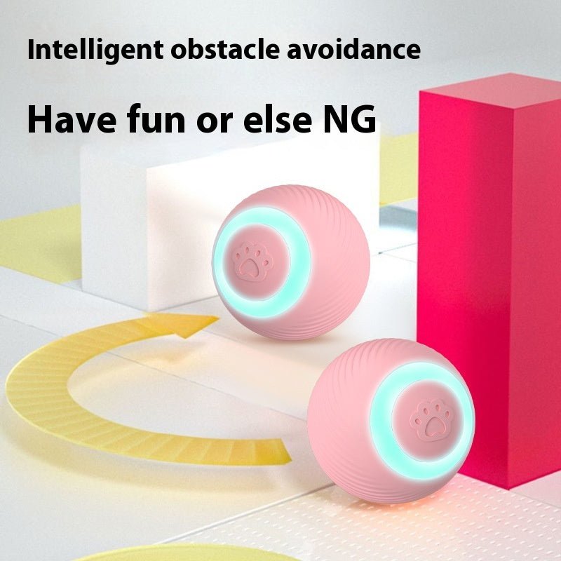 Interactive Rolling Ball Pet Toy – Chase & Play Fun for Cats & Dogs