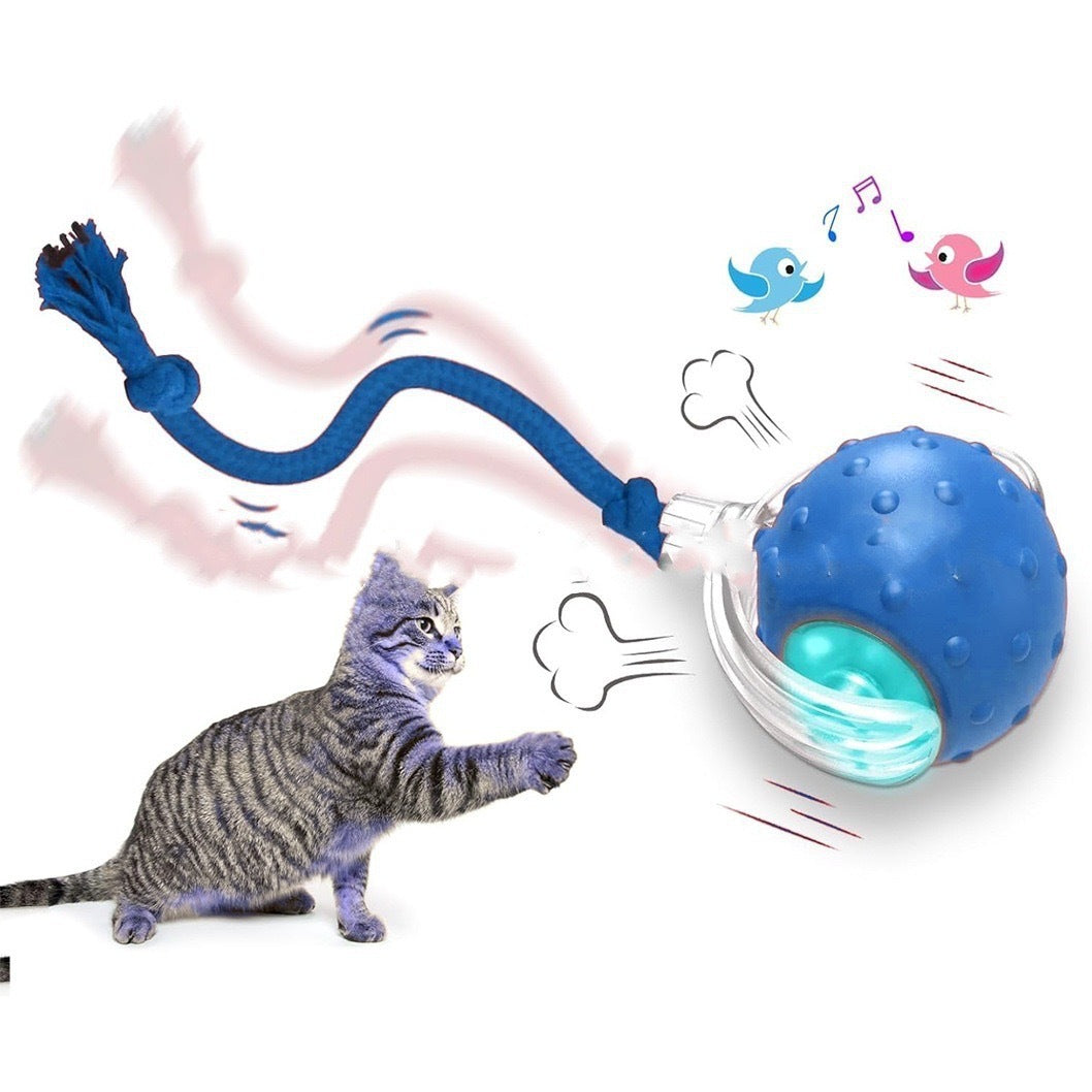 Interactive Rolling Cat Toy Ball – High‑Energy Chase & Play