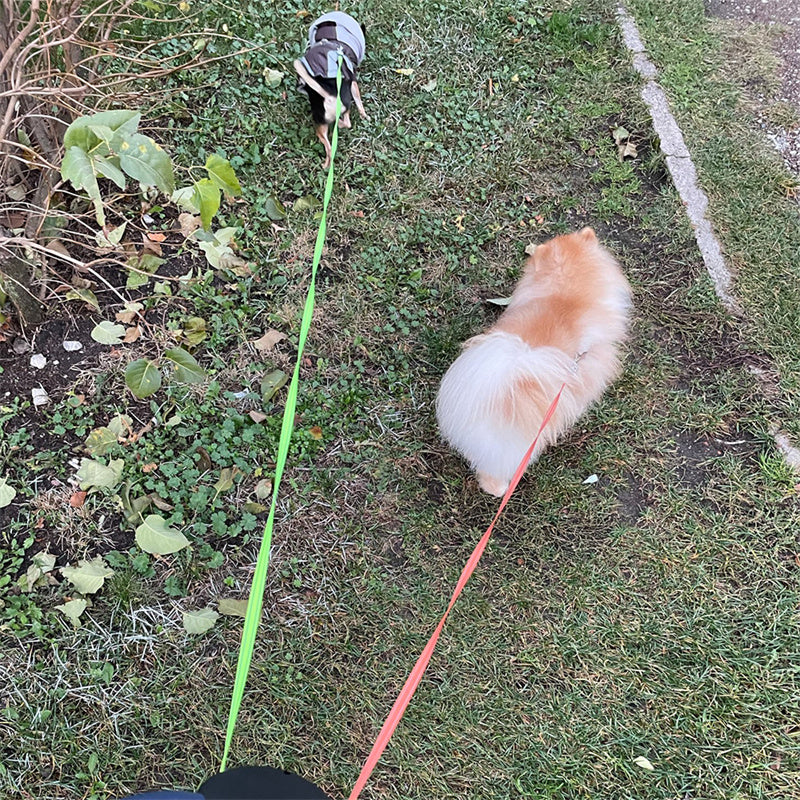 Tangle‑Free Retractable Double Dog Leash with Light & Poop Bag Holder