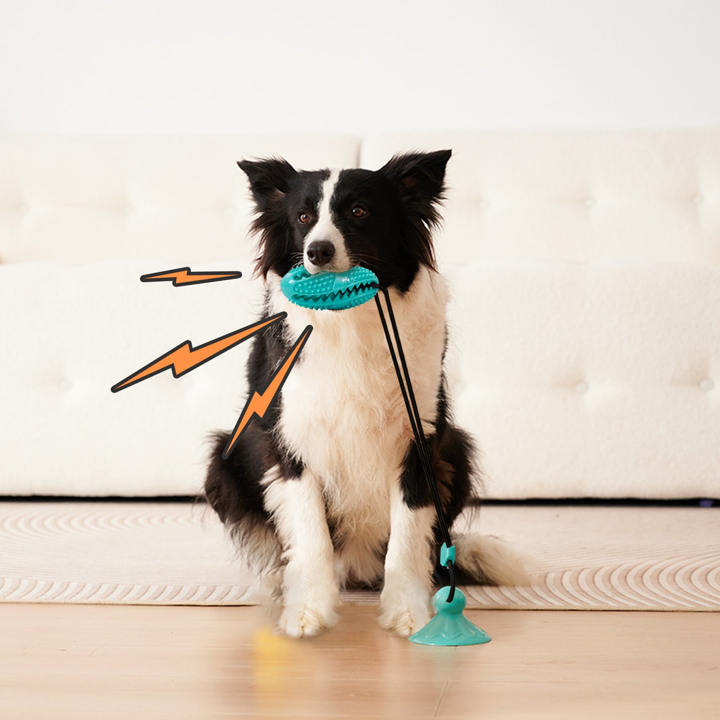 Suction Cup Treat Ball Dog Toy – Pull Rope & Teeth-Cleaning Chew
