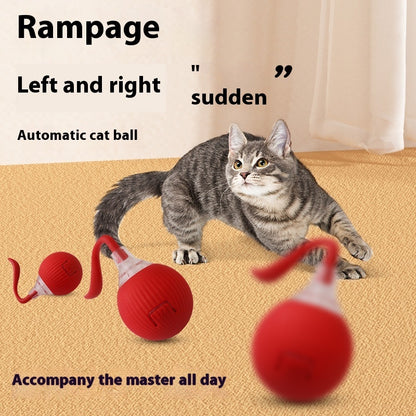 Interactive Rolling Cat Toy Ball – High‑Energy Chase & Play