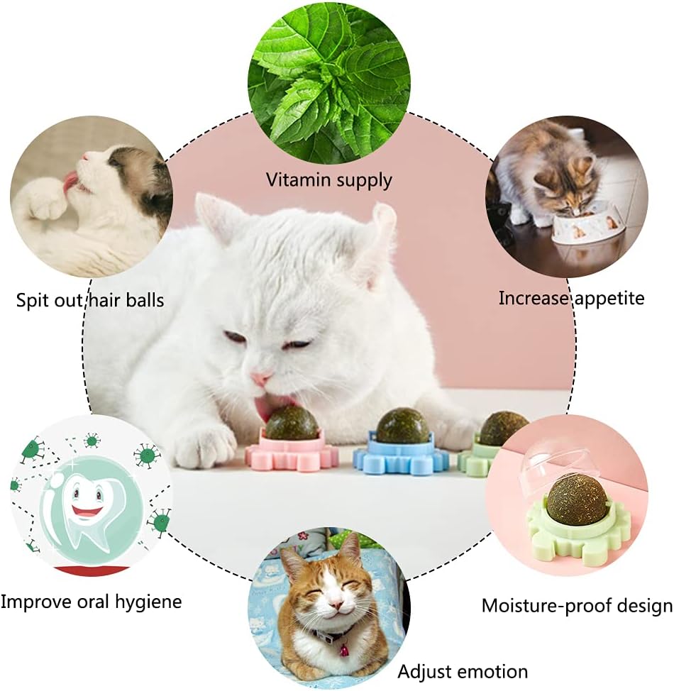 Catnip Wall Ball – Edible Licking &amp; Chew Toy for Happy, Healthy Indoor Cats
