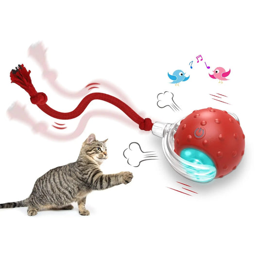 Interactive Rolling Cat Toy Ball – High‑Energy Chase & Play
