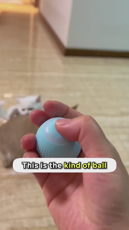 Interactive Rolling Ball Pet Toy – Chase & Play Fun for Cats & Dogs