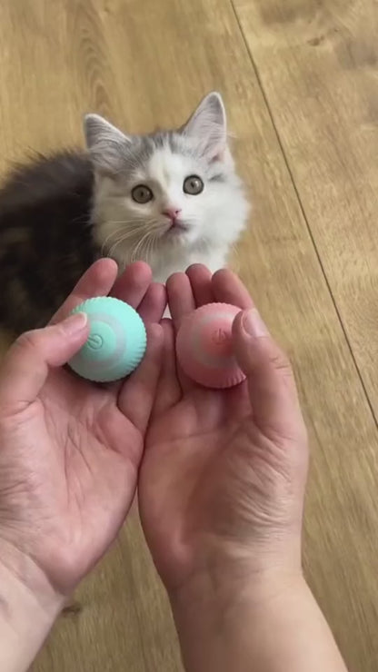 Interactive Rolling Ball Pet Toy – Chase & Play Fun for Cats & Dogs