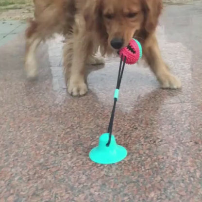 Suction Cup Treat Ball Dog Toy – Pull Rope & Teeth-Cleaning Chew