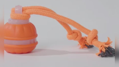Interactive Rolling Dog Ball – Chase, Fetch & Chew Toy