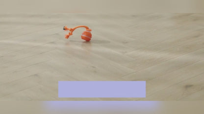 Interactive Rolling Dog Ball – Chase, Fetch & Chew Toy